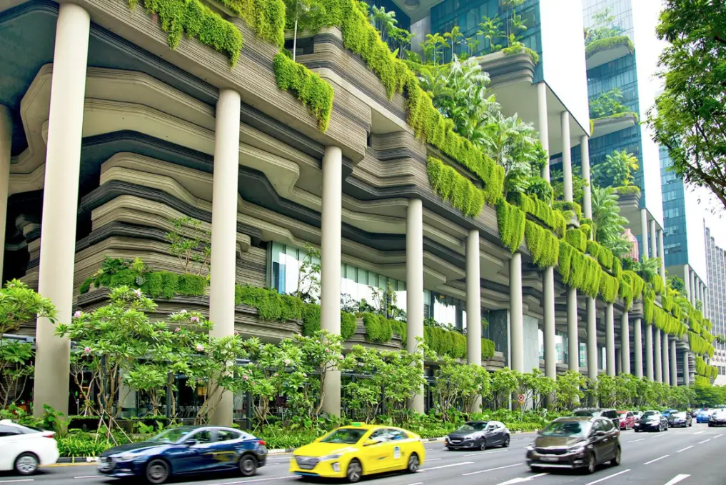 Soil Regeneration Solutions