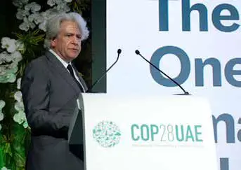 Nature Reintegration in Cities