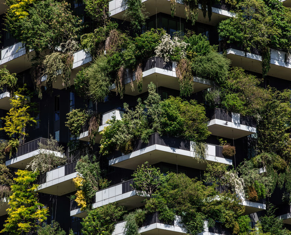 balconies in green plants