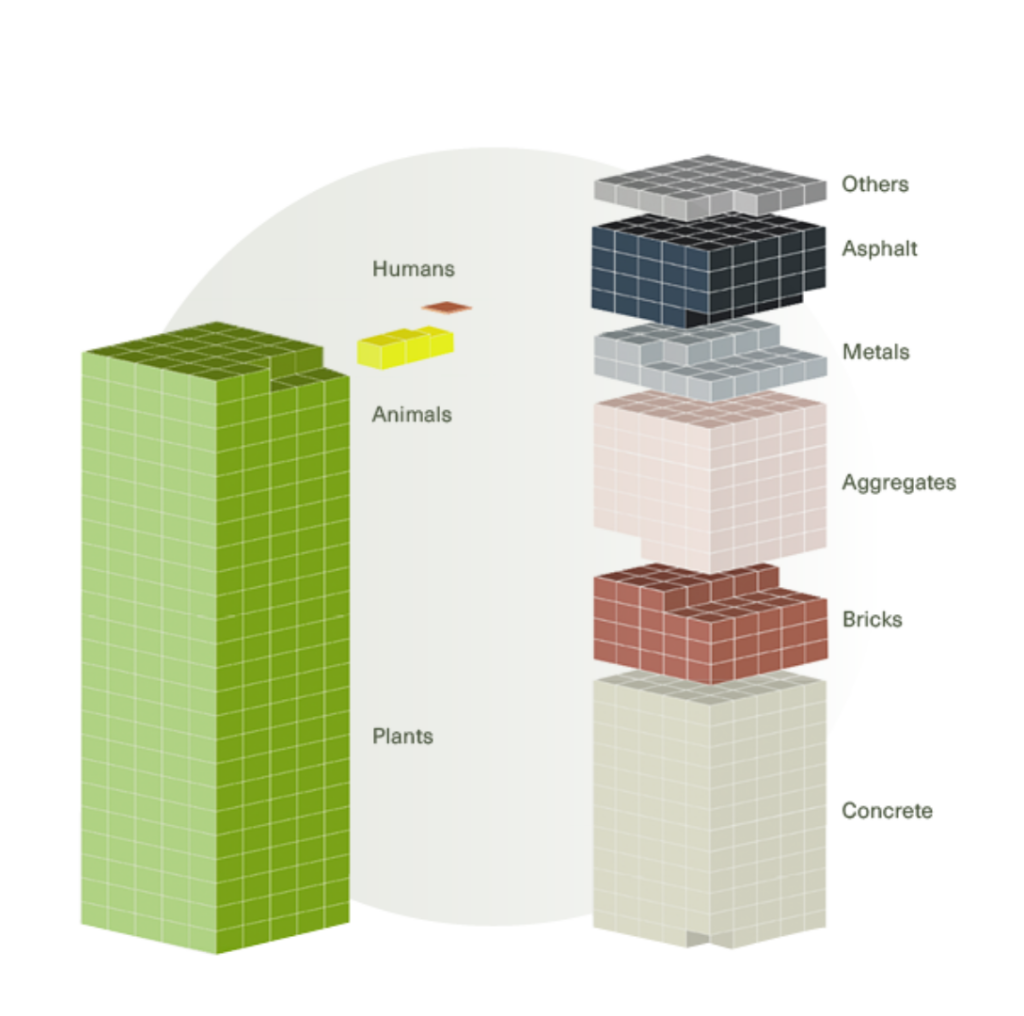Redesigning Cities for Planetary Health